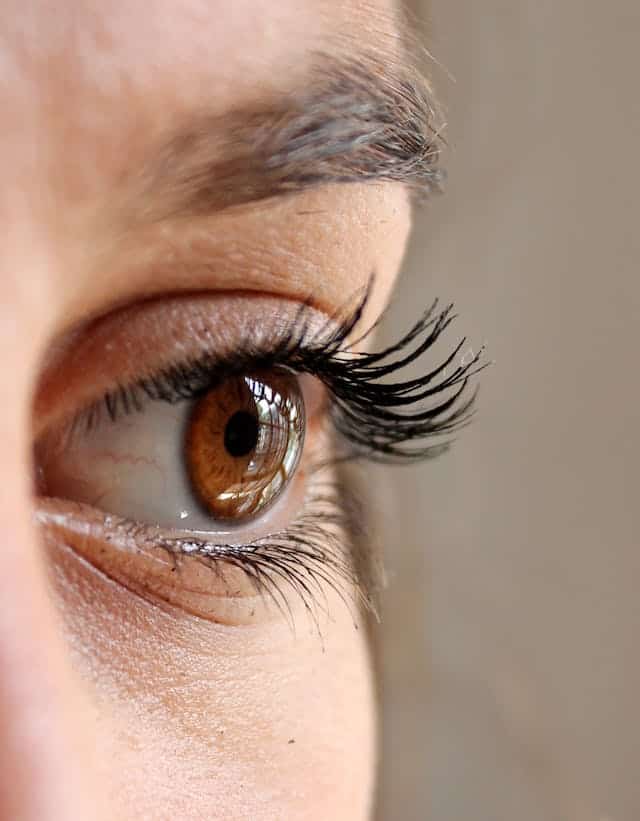 La Retina Trasformare la Luce in Immagini